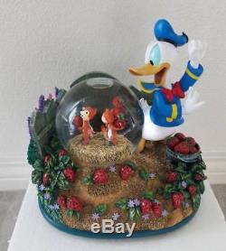 Disney Donald Duck Chip & Dale Musical Snowglobe Strawberry Garden Water Globe
