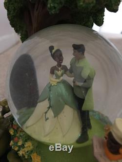Disney princess and the frog snow globe