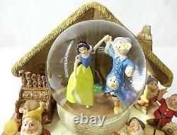 Hallmark Rare Wonders Within 2012 Snow Globe Disney Snow White