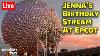 Live Jenna S Birthday Stream At Epcot Walt Disney World Live Stream 11 26 23