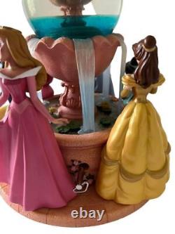 Princess Wishing Fountain Snow Globe Musical Disney Store Exclusive RARE