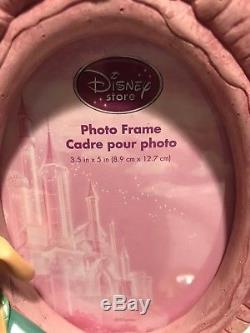 VHTF Disney Store Little Mermaid Ariel Snow Globe 3x5 Frame Flounder Sebastian